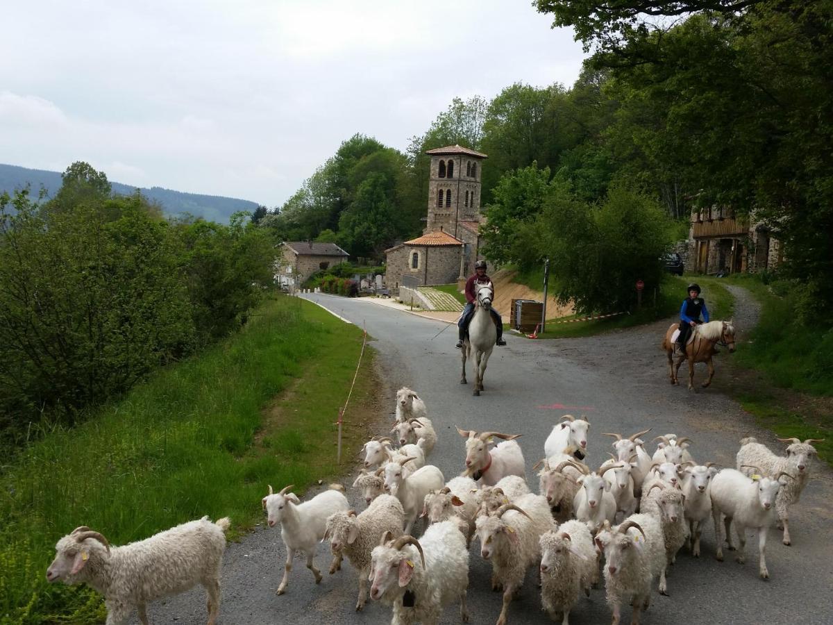 Le Colombier D'Amalthee Villa Vernay Dış mekan fotoğraf