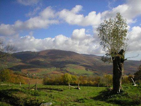 Le Colombier D'Amalthee Villa Vernay Dış mekan fotoğraf